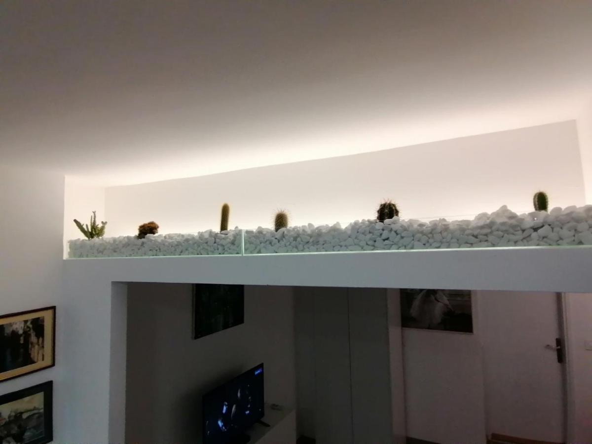 Dunja S Апартаменты Белград